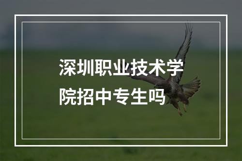 深圳职业技术学院招中专生吗