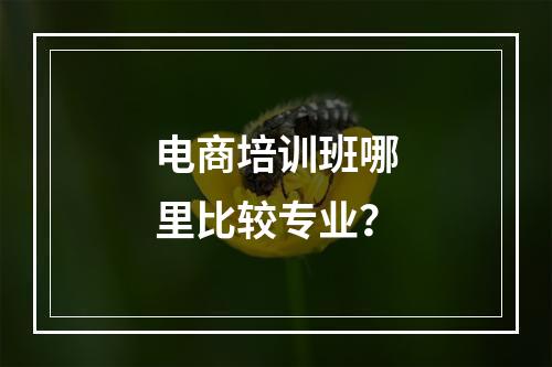 电商培训班哪里比较专业？