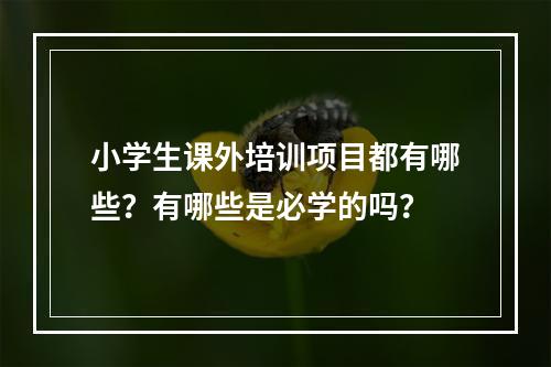 小学生课外培训项目都有哪些？有哪些是必学的吗？