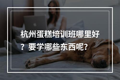 杭州蛋糕培训班哪里好？要学哪些东西呢？