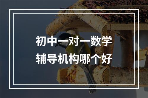 初中一对一数学辅导机构哪个好