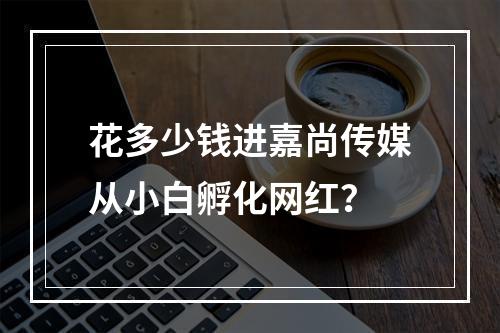 花多少钱进嘉尚传媒从小白孵化网红？