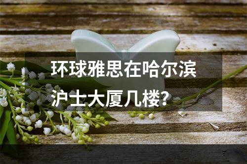 环球雅思在哈尔滨沪士大厦几楼？