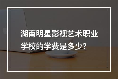 湖南明星影视艺术职业学校的学费是多少？