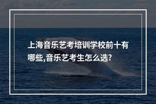 上海音乐艺考培训学校前十有哪些,音乐艺考生怎么选?