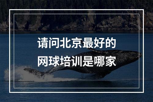 请问北京最好的网球培训是哪家