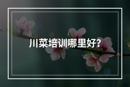 川菜培训哪里好？