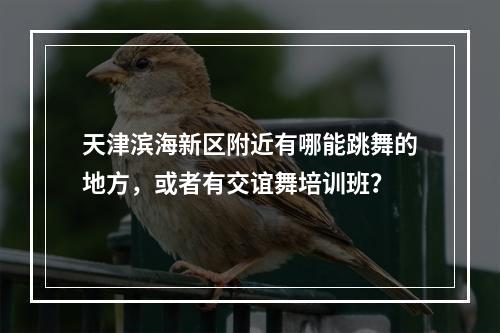 天津滨海新区附近有哪能跳舞的地方，或者有交谊舞培训班？