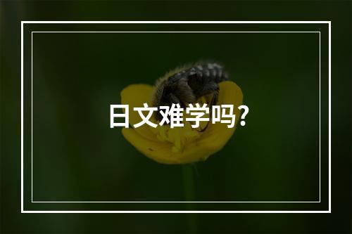 日文难学吗?