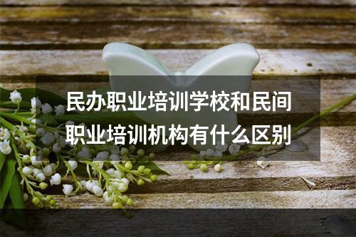 民办职业培训学校和民间职业培训机构有什么区别