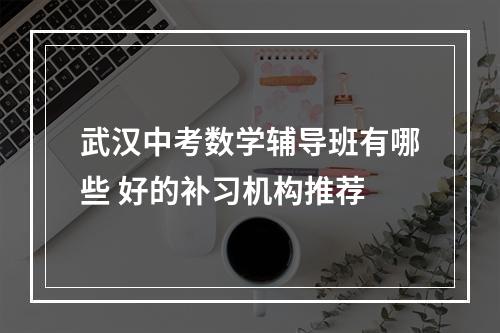 武汉中考数学辅导班有哪些 好的补习机构推荐