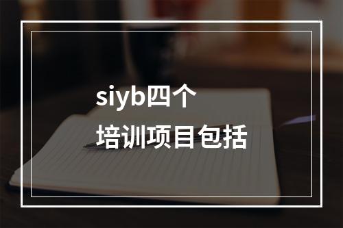 siyb四个培训项目包括