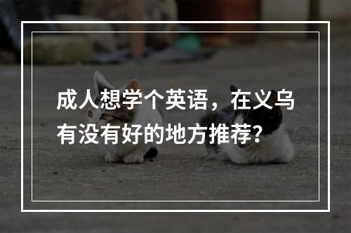 成人想学个英语，在义乌有没有好的地方推荐？