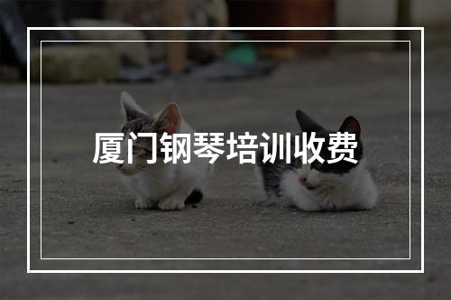 厦门钢琴培训收费