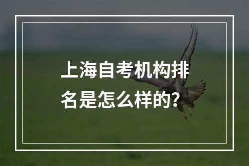 上海自考机构排名是怎么样的？