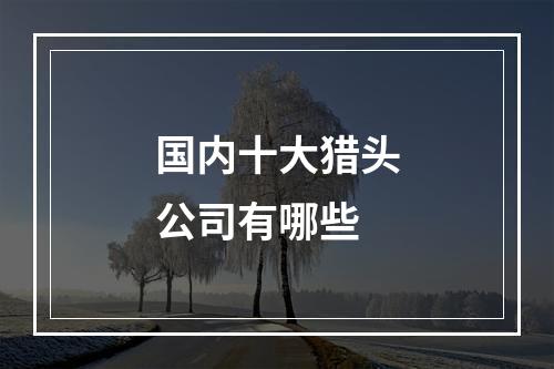 国内十大猎头公司有哪些