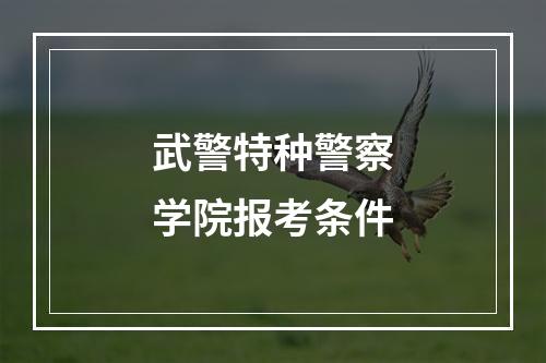 武警特种警察学院报考条件