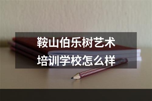 鞍山伯乐树艺术培训学校怎么样