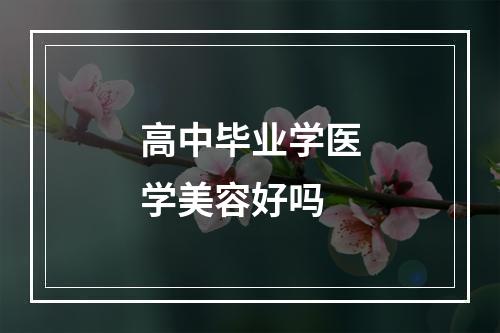 高中毕业学医学美容好吗