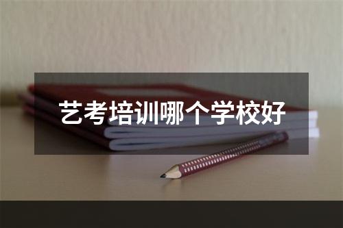 艺考培训哪个学校好