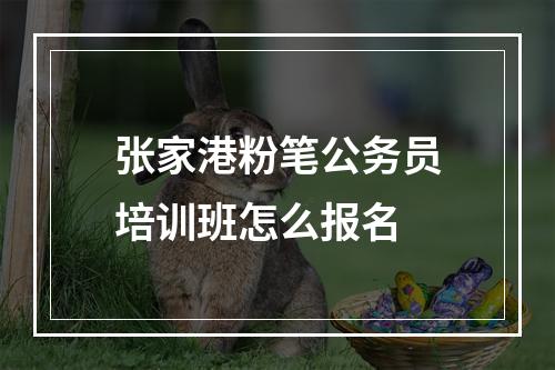 张家港粉笔公务员培训班怎么报名