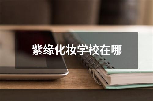 紫缘化妆学校在哪