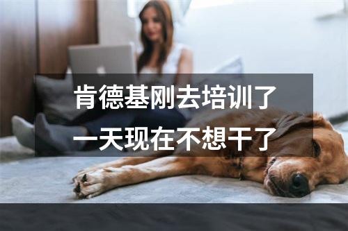 肯德基刚去培训了一天现在不想干了