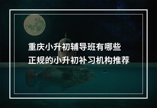 重庆小升初辅导班有哪些 正规的小升初补习机构推荐