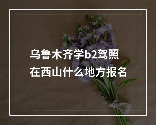 乌鲁木齐学b2驾照在西山什么地方报名