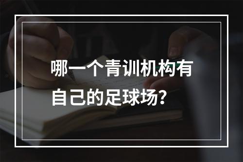 哪一个青训机构有自己的足球场？