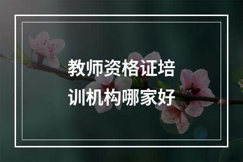 教师资格证培训机构哪家好