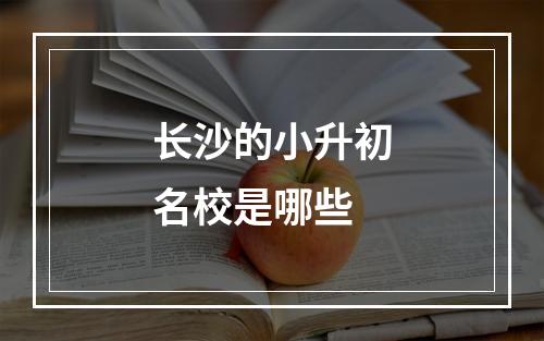 长沙的小升初名校是哪些