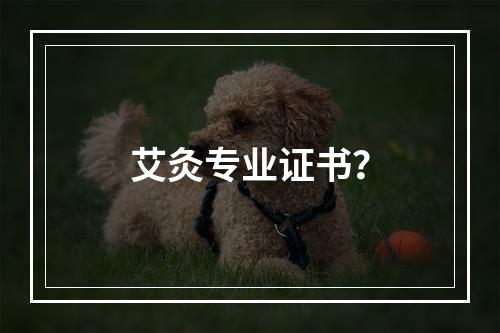 艾灸专业证书？