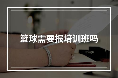 篮球需要报培训班吗