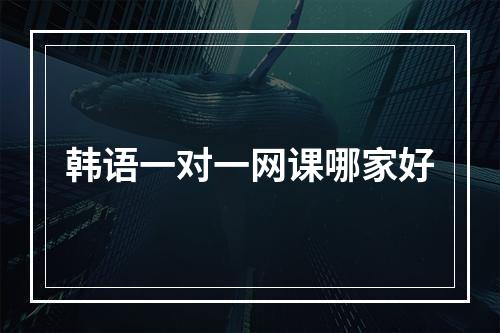 韩语一对一网课哪家好