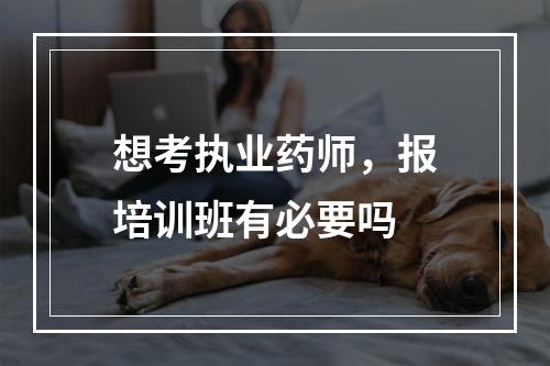 想考执业药师，报培训班有必要吗