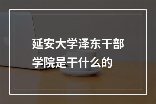 延安大学泽东干部学院是干什么的