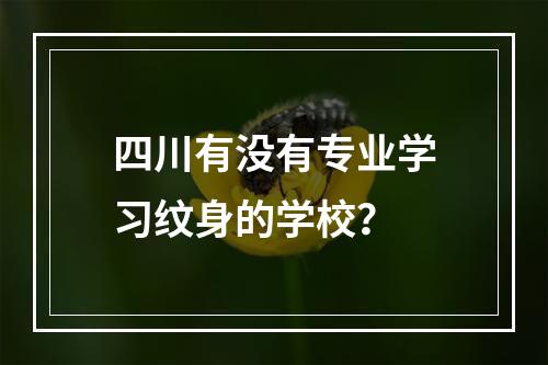 四川有没有专业学习纹身的学校？