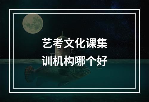 艺考文化课集训机构哪个好