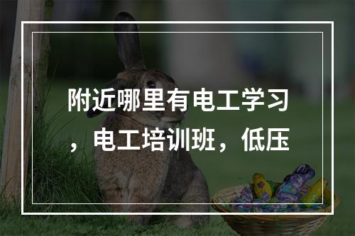 附近哪里有电工学习，电工培训班，低压