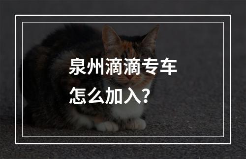 泉州滴滴专车怎么加入？