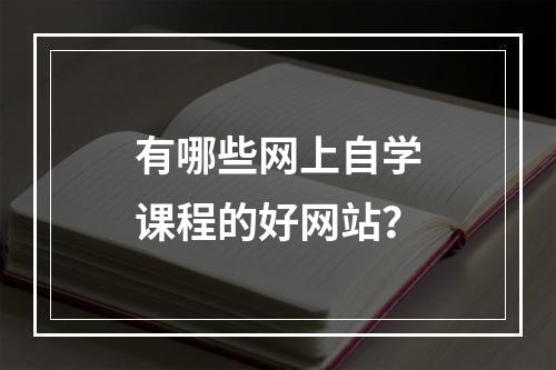 有哪些网上自学课程的好网站？