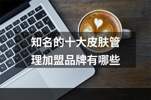 知名的十大皮肤管理加盟品牌有哪些