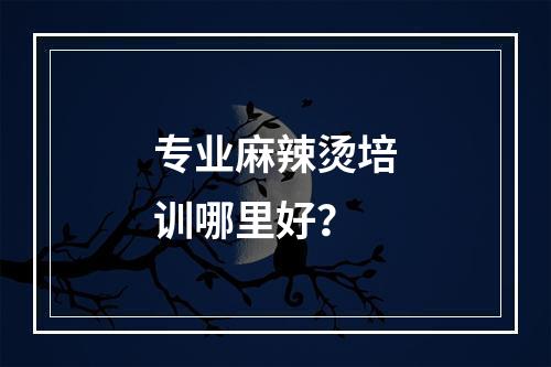 专业麻辣烫培训哪里好？