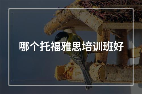 哪个托福雅思培训班好