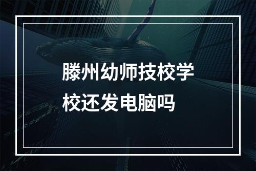 滕州幼师技校学校还发电脑吗