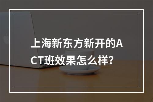 上海新东方新开的ACT班效果怎么样？