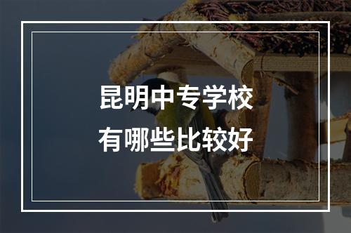 昆明中专学校有哪些比较好