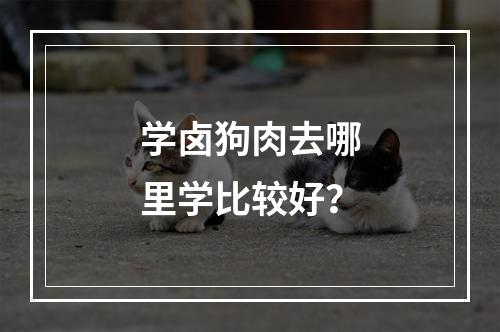 学卤狗肉去哪里学比较好？