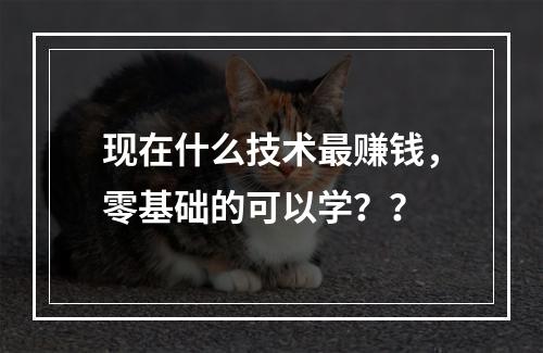 现在什么技术最赚钱，零基础的可以学？？